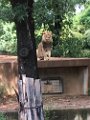 Zoo Trip